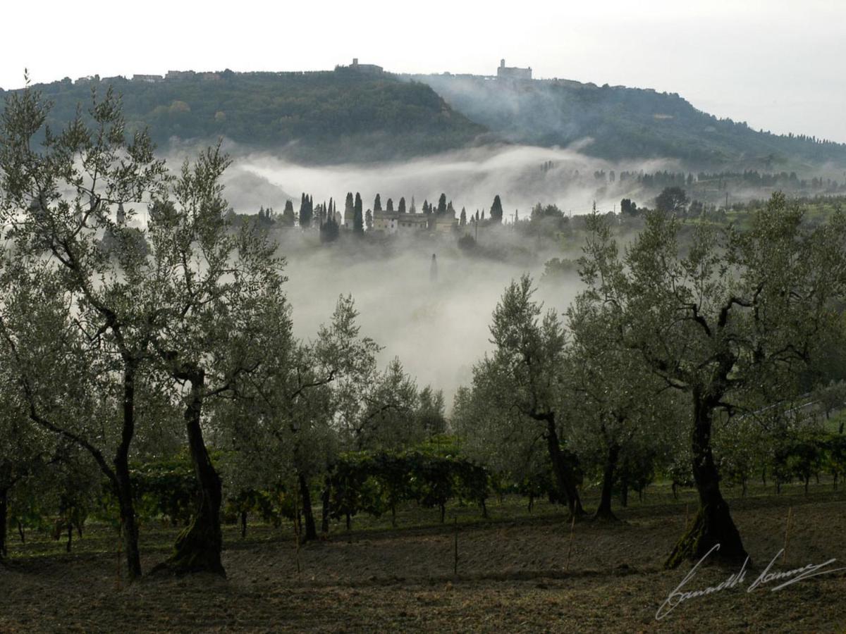 Holiday Home Podere Santa Lucia By Interhome Volterra Zewnętrze zdjęcie